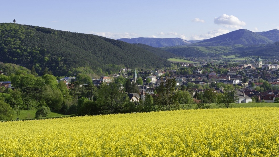 Blick über Landschaft beim Schloss Hernstein